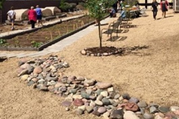 Community Gardens: SouthEast Valley Regional Association of REALTORS®